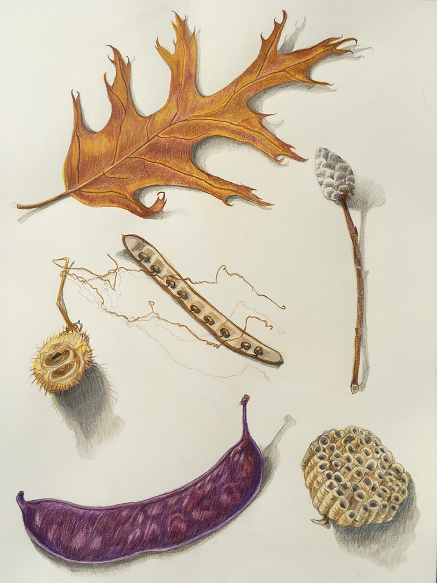 JPanka_After and Before_colored pencil copy