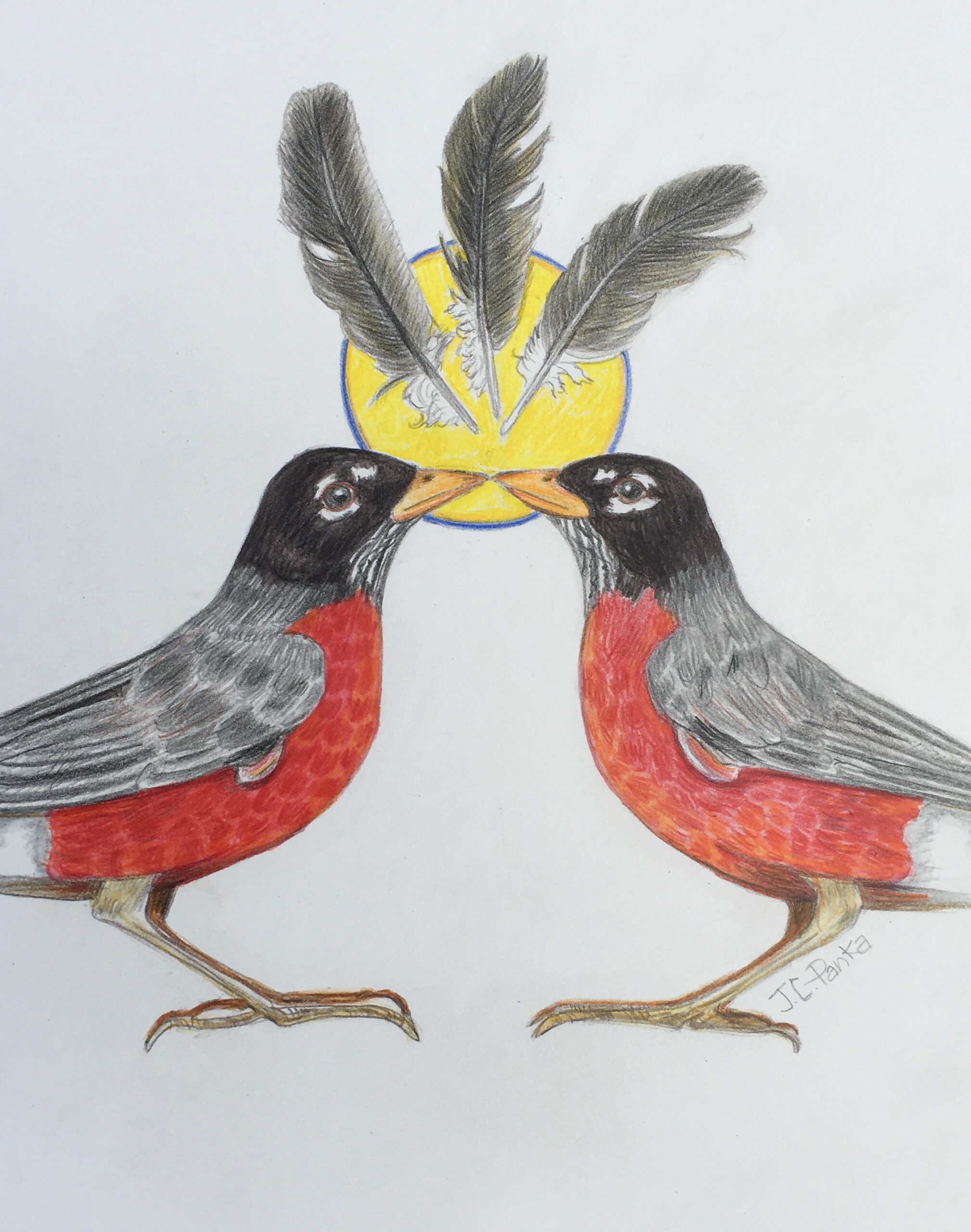 Robins copy 2